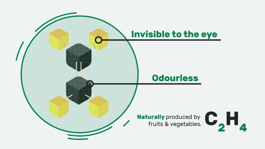 Sources of Ethylene Oxide